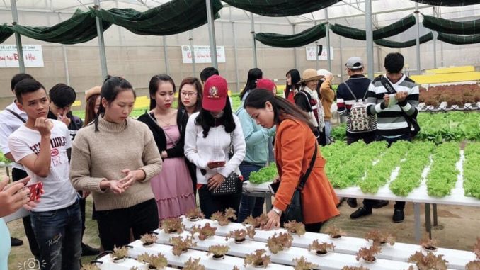 A group of women standing in a greenhouseDescription automatically generated