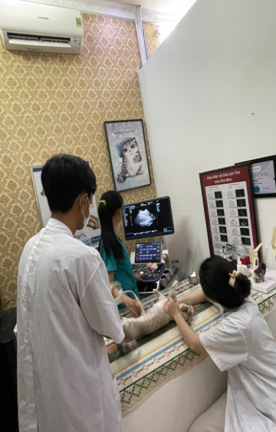 A group of people in a medical officeDescription automatically generated